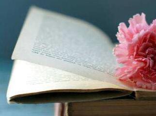 廣東省成考2023年高起本《理化綜合》練習(xí)題及答案5