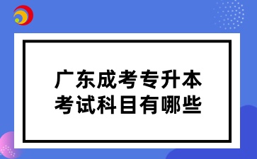 2025年廣東成考專升本考試科目有哪些